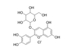 矢车菊素-3-半乳糖苷 HPLC>98% 中药对照品 标准品