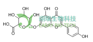 芹菜素-7-O-葡萄糖醛酸苷 HPLC≥98% 中药标准品 对照品