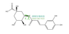 新绿原酸 HPLC≥98% 中药对照品 标准品 CAS：906-33-2