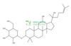 20S-人参皂苷Rh2 HPLC≥98% 中药对照品 标准品 CAS：78214-33-2