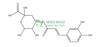 绿原酸 HPLC≥98% 中药对照品 标准品 CAS：327-97-9